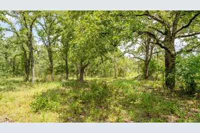 418-D County Road 405, Buckholts, TX 76518 - Photo 17