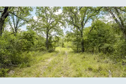 418-D County Road 405, Buckholts, TX 76518 - Photo 7