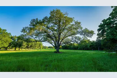 1462 County Road 313, Thrall, TX 78947 - Photo 3
