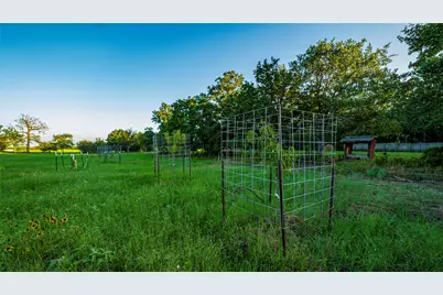 1462 County Road 313, Thrall, TX 78947 - Photo 21
