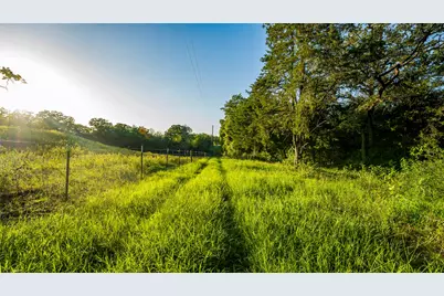 1462 County Road 313, Thrall, TX 78947 - Photo 33