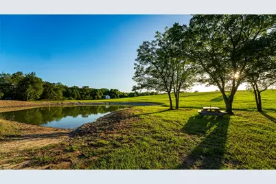 1462 County Road 313, Thrall, TX 78947 - Photo 5