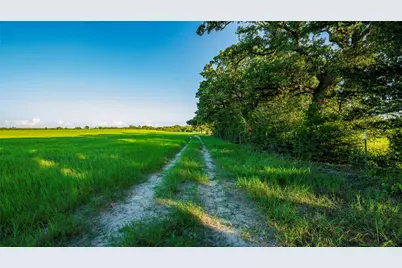 1462 County Road 313, Thrall, TX 78947 - Photo 39