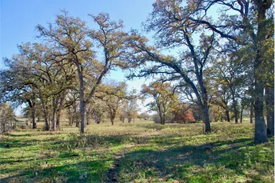 Tbd County Road 405, Flatonia, TX 78941 - Photo 19