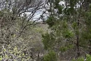 20801 Jamestown Cove, Leander, TX 78645 - Photo 3