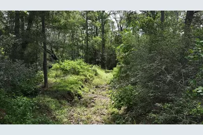 [Address not provided], Red Rock, TX 78662 - Photo 35