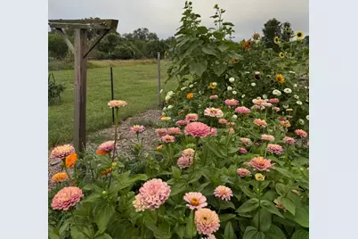 2425 Oak Valley Drive, New Braunfels, TX 78132 - Photo 29