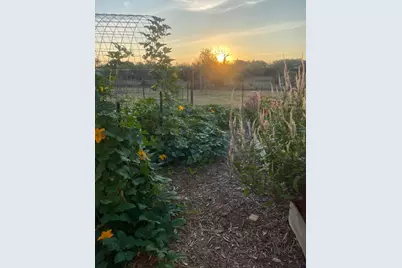 2425 Oak Valley Drive, New Braunfels, TX 78132 - Photo 27