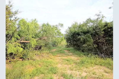 Tbd Mesquite Drive, Cedar Creek, TX 78612 - Photo 1