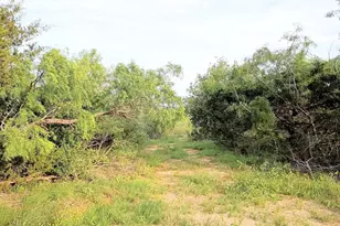 Tbd Mesquite Rd, Cedar Creek, TX 78612 - Photo 1