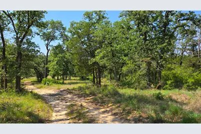 277 Meuth Cemetery Road, Red Rock, TX 78662 - Photo 5