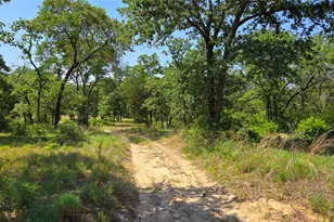 277 Meuth Cemetery Rd, Red Rock, TX 78662 - Photo 1