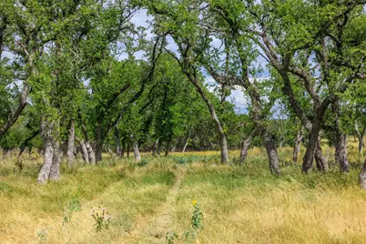 0 Friedrich Road, Fredericksburg, TX 78624 - Photo 11
