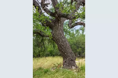 0 Friedrich Road, Fredericksburg, TX 78624 - Photo 9