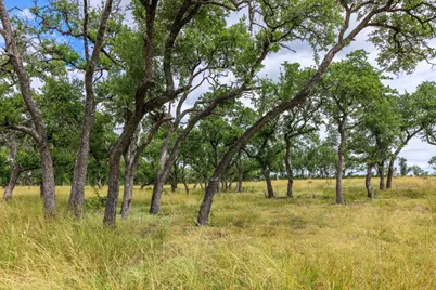 0 Friedrich Road, Fredericksburg, TX 78624 - Photo 7