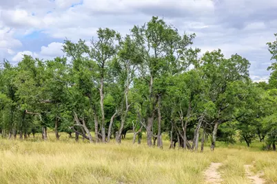 0 Friedrich Road, Fredericksburg, TX 78624 - Photo 29