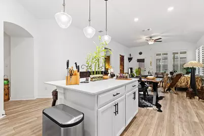 513 Georgia Lace Trail, Georgetown, TX 78626 - Photo 5