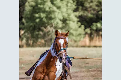 9939 County Road 404, Spicewood, TX 78669 - Photo 9