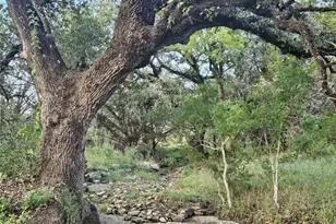 9939 Co Rd 404, Spicewood, TX 78669 - Photo 7