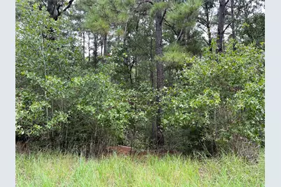 Lot 47 Kamakoa Lane, Bastrop, TX 78602 - Photo 1