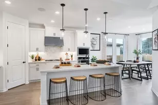 419 Jackson River Loop, Kyle, TX 78640 - Photo 15