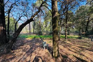 1575 County Road B Rd, Lexington, TX 78947 - Photo 29