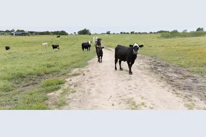 51 County Road 436, Thrall, TX 76578 - Photo 17