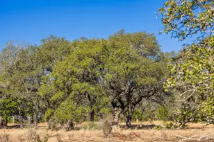 4772-1 County Road 340, Burnet, TX 76905 - Photo 15