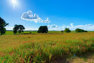 8731 Sh 79 Highway, Milano, TX 76556 - Photo 31
