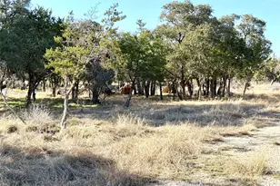 1360 County Road 233 Rd, Florence, TX 76527 - Photo 7