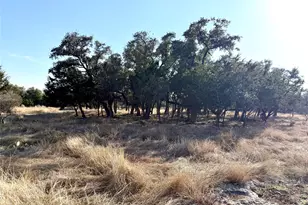 1360 County Road 233 Rd, Florence, TX 76527 - Photo 5