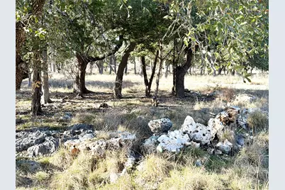 1360 County Road 233 Road, Florence, TX 76527 - Photo 9