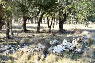 1360 County Road 233 Rd, Florence, TX 76527 - Photo 9