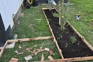 1525 Waco St, Gonzales, TX 78629 - Photo 23