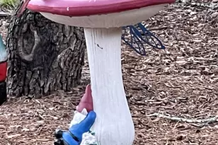 13326 Trautwein Rd, Austin, TX 78737 - Photo 31