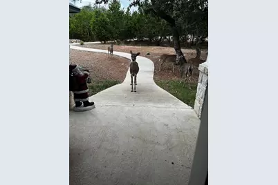 13326 Trautwein Road, Austin, TX 78737 - Photo 39