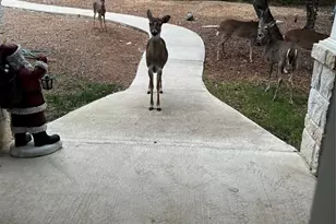 13326 Trautwein Rd, Austin, TX 78737 - Photo 39