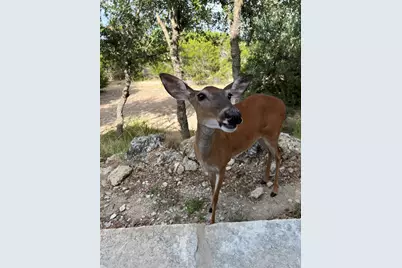 13326 Trautwein Road, Austin, TX 78737 - Photo 35