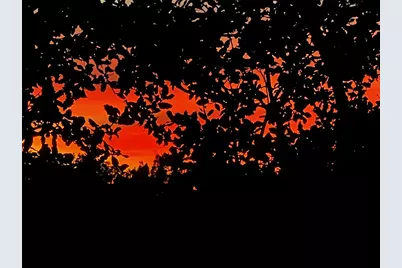 13326 Trautwein Road, Austin, TX 78737 - Photo 33