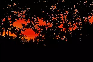 13326 Trautwein Rd, Austin, TX 78737 - Photo 33