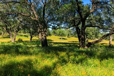 3736-1 County Road 113, Llano, TX 78643 - Photo 11