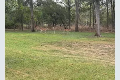 338 W Keanahalululu Lane, Bastrop, TX 78602 - Photo 35