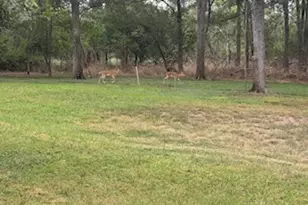 338 W Keanahalululu Ln, Bastrop, TX 78602 - Photo 35