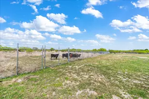 300 Co Rd 407, Spicewood, TX 78669 - Photo 31