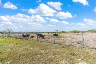 300 Co Rd 407, Spicewood, TX 78669 - Photo 29