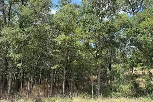 103 & 105 W Kikipua Ln, Bastrop, TX 78602 - Photo 1