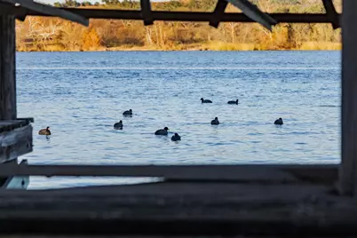 185 Roadrunner Lane, Burnet, TX 78611 - Photo 21