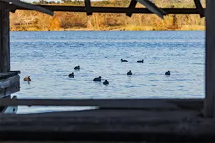 185 Roadrunner Ln, Burnet, TX 78611 - Photo 21