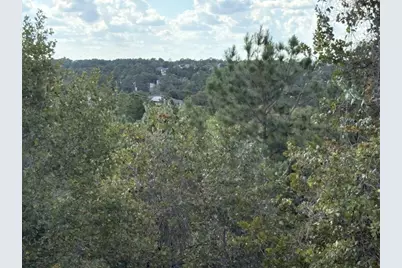 Tbd Lot 35 Pinecrest Drive, Bastrop, TX 78602 - Photo 1