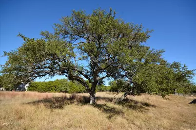 121 S Jesse Stiff Drive, Blanco, TX 78606 - Photo 1